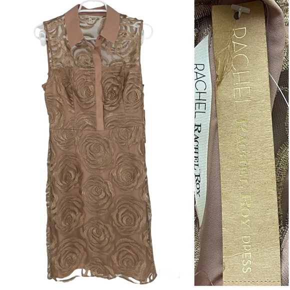 RACHEL RACHEL ROY NWT OCTOBER ROSE COLLAR NECK DRESS ROSE GOLD 6 - Picture 1 of 6